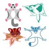 Sugar Glider Flying Squirrel Cuttable Design