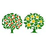 Orange Tree SVG Cuttable Design