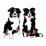 Border Collie Dog SVG Cuttable Design