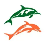 Dolphin SVG Cuttable Design