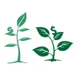 Dollar Plant SVG Cuttable Design