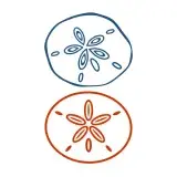 Sand Dollar SVG Cuttable Design
