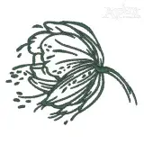 Flower in the Wind Embroidery Design