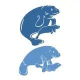 Seal SVG Cuttable Design