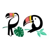 Toucan SVG Cuttable Design