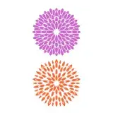 Chrysanthemum Chrysanthe Mum Flower SVG Cuttable Design