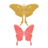 Entomologica Butterfly SVG Cuttable Design