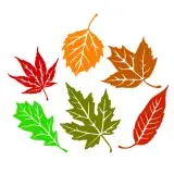 Fall Leaves Pack SVG Cuttable Design