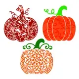 Mandala Pumpkin SVG Cuttable Design