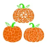 Pattern Pumpkin Pack SVG Cuttable Design