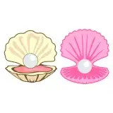 Shell Pearl SVG Cuttable Design