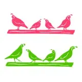 California Quail Bird SVG Cuttable Design
