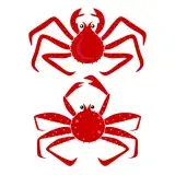 King Crab SVG Cuttable Design