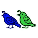 Quail Bird SVG Cuttable Design