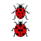 Ladybug SVG Cuttable Design