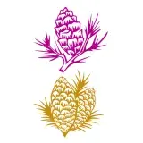 Pine Cone SVG Cuttable Design