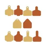 Cow Ear Tags Cuttable Design
