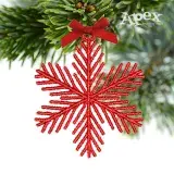 Snowflake Earrings Free Standing Lace ITH Embroidery Design
