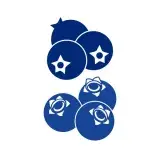 Blueberry Decal Cuttable Design
