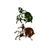 Buffalo Rider Cuttable Design