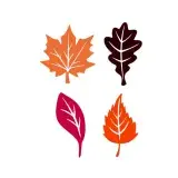 Fall Leaves Pack Cuttable Design