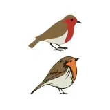American Robin Bird Cuttable Design
