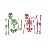 Skeleton Cuttable Design