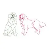 Bernese Mountain Dog Line Art SVG Cuttable Design