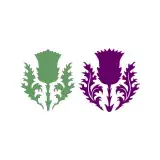 Scottish Thistle Silhouette SVG Cuttable Design