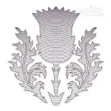 Scottish Thistle Flower Sketch Embroidery Designs