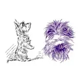 Scottie or Scottish Terrier Dog from Scotland Line Art SVG Cuttable Designs