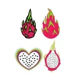 Tropical Dragon Fruit Pitaya Pack SVG Cuttable Design