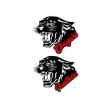 Panthers Cougars Mascot Head SVG Cuttable Designs