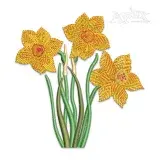 Daffodils