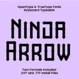 Ninja Arrow TrueType Font