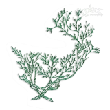 Christmas Deer Reindeer Art Machine Embroidery Design