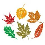 Fall Leaves Pack SVG Cuttable Design