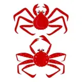King Crab SVG Cuttable Design