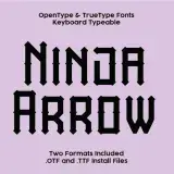Ninja Arrow TrueType Font