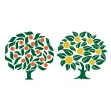 Orange Tree SVG Cuttable Design