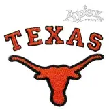 Texas Embroidery Design