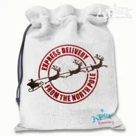 Santa Express Embroidery Design