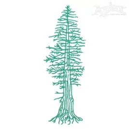 Pacfic Northwest Washington State Tree Embroidery Design