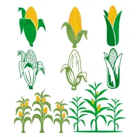 Corn Pack SVG Cuttable Designs
