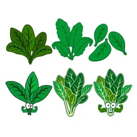 Spinach SVG Cuttable Designs