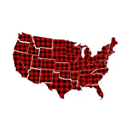 The United States Plaid Pattern Map Cuttable Designs