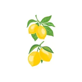 Lemon SVG Cuttable Designs