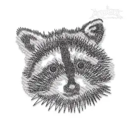 Raccoon Face #2