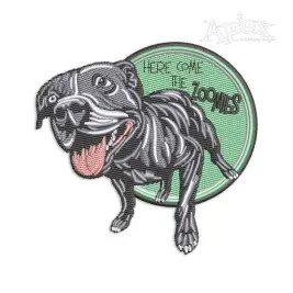 Here Come the Zoomies Hyperactive Dog