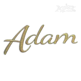 Ballinger Script Machine Embroidery Font by Apex